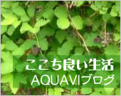 �������ǂ������@AQUAVI�u���O