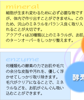 ��mineral���זE�����܂�ς�邽�߂ɕK���K�v�ȕ��ł����A�̓��ō��o�����Ƃ��ł��܂���B���̂��߁A��R�̃~�l�������o�����X�ǂ�������邱�Ƃ���؂ł��B�A�N�A���B��20��ވȏ�̃~�l�������A�����̃^�[���I�[�o�[���������萮���܂��B��enzyme������ނ��̍y�f�̗͂ł�����ь��̗]���Ȕ玉�≘����A�D�����������Ă��������菜���܂��B�ь����N���A�ɂȂ邱�ƂŁA�~�l�����Ȃǂ��A���������񂮂�z�����ނ��Ƃ��ł��܂��B