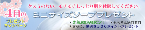�N�X�~�̂Ȃ����`���`�����Ƃ蔧��̌����Ă��������B�~�j�T�C�Y�\�[�v15���i�ʏ퉿�i�F840�~�j�����v���[���g